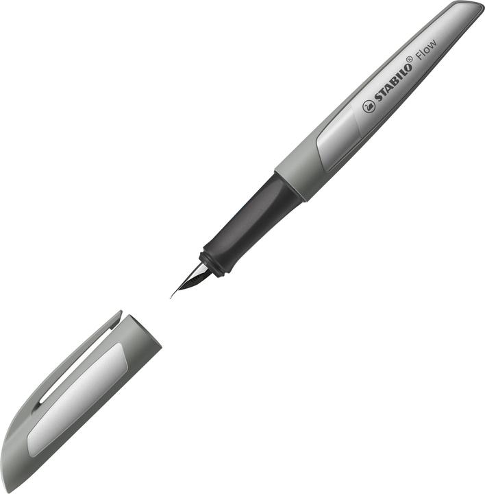Immagine prodotto STABILO Stilografica Flow monocromatica (Grigio pastello, 1 x)