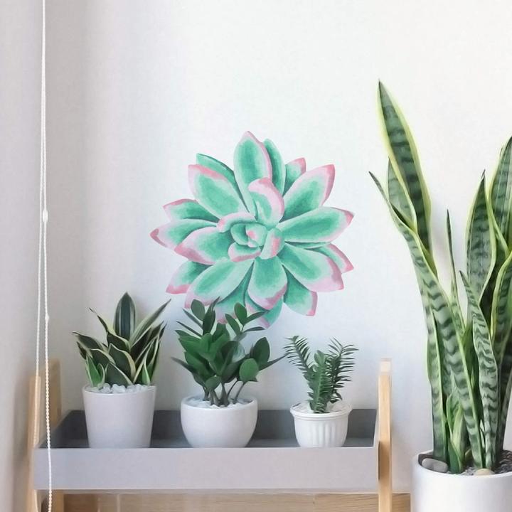 Actual product image Trenddeko Succulent Echeveria Lace Watercolor (60 x 58 cm)
