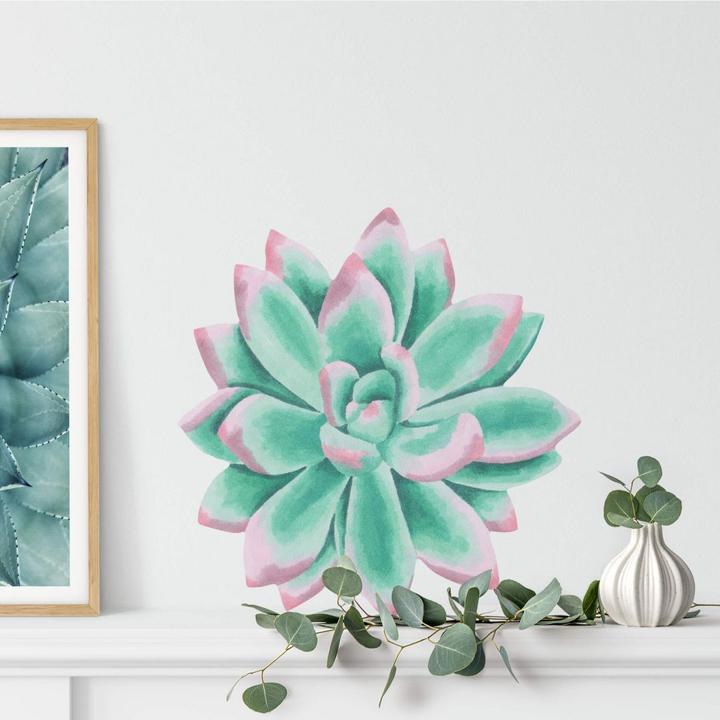 Actual product image Trenddeko Succulent Echeveria Lace Watercolor (60 x 58 cm)