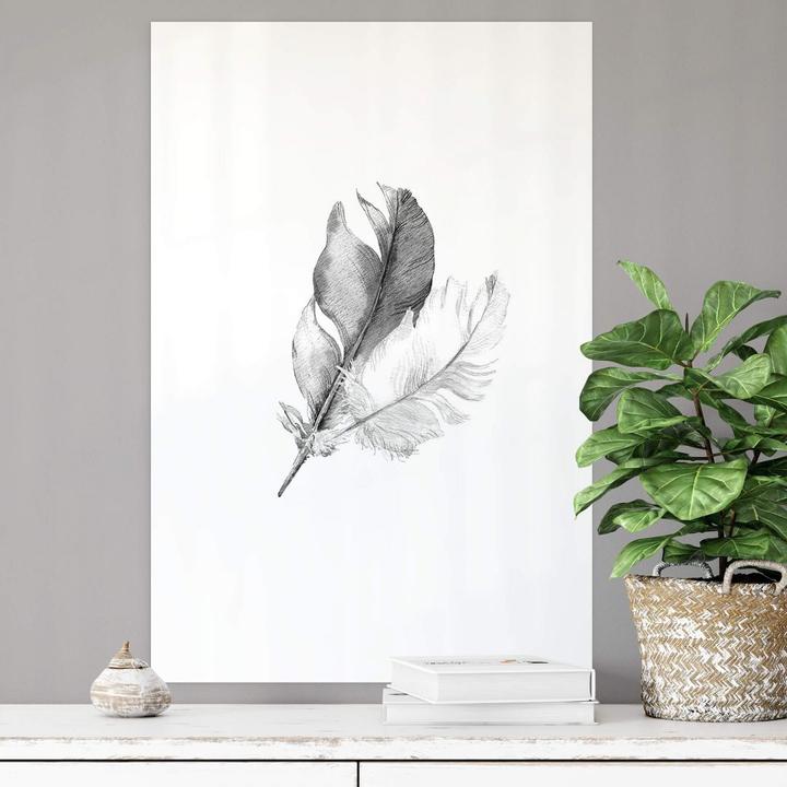 Produktbild Trenddeko Federn (80 x 120 cm)