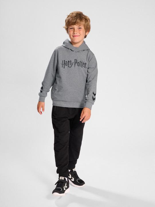 Image du produit hummel Sweat à capuche Hmlharry Potter (116)