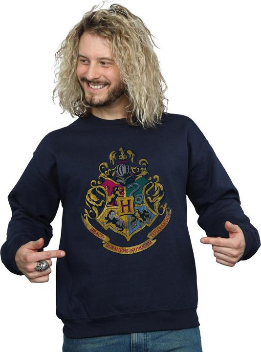 Image du produit Sweat en coton avec écusson de Poudlard pour hommes (L)