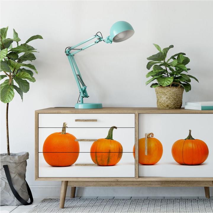 Produktbild Trenddeko Kürbissorten (80 x 30 cm)