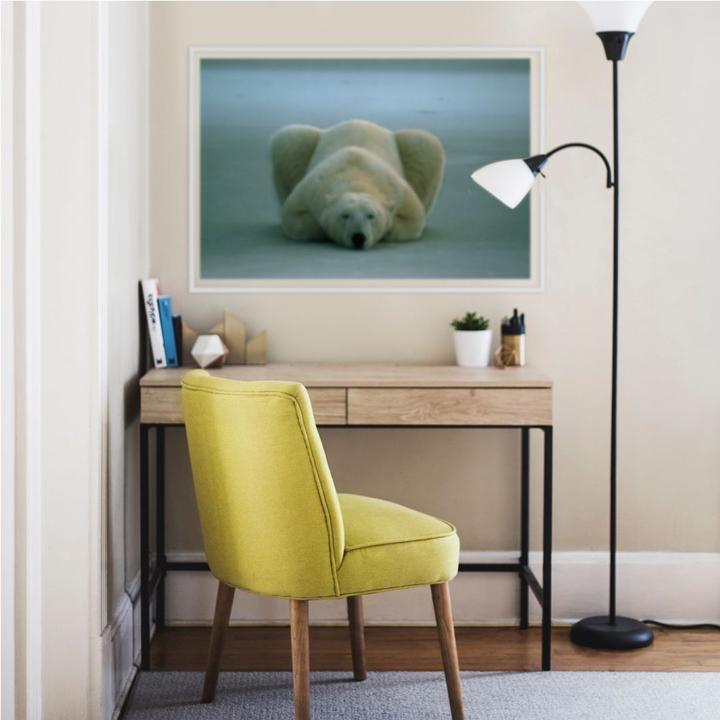 Actual product image National Geographic NG Polar bear sleeping (60 x 40 cm)