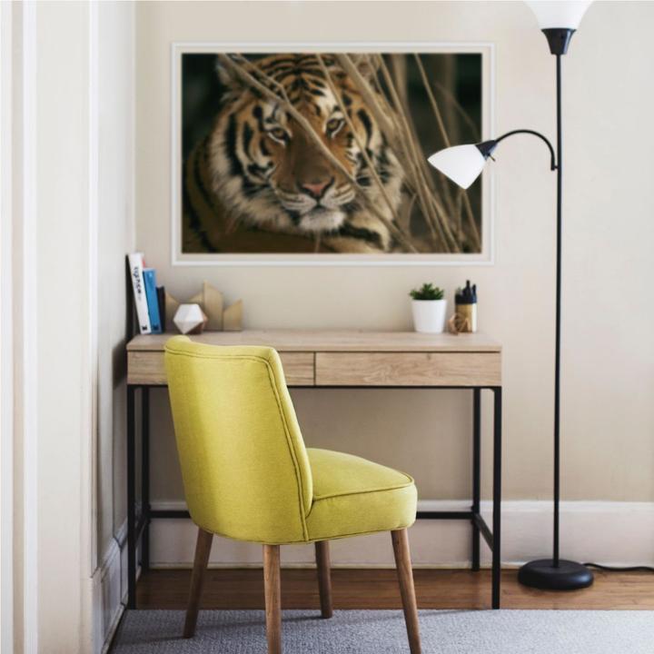 Image du produit National Geographic Tigre NG (100 x 66 cm)
