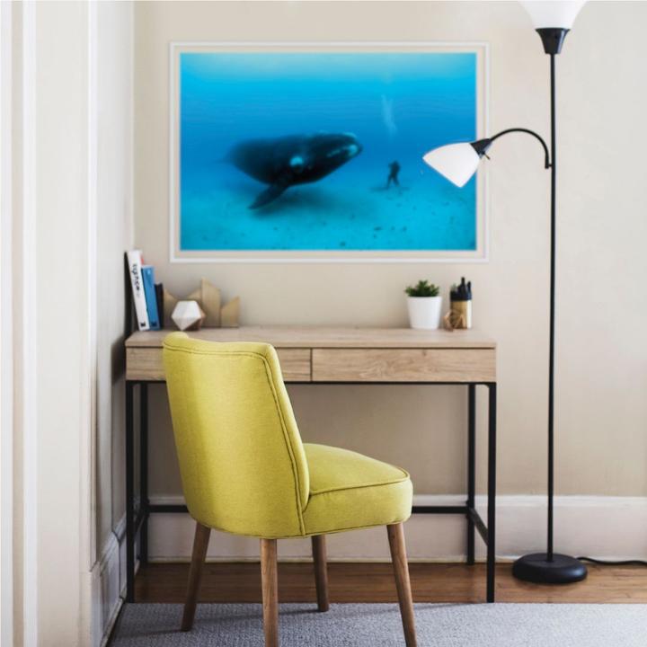 Produktbild National Geographic NG Wal mit Taucher (100 x 66 cm)