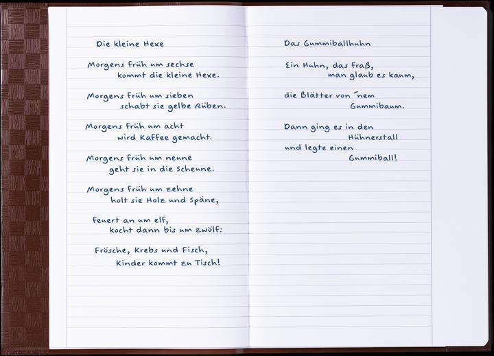 Immagine prodotto Herma Protezione per libretti, DIN A4, in PP, rivestita in marrone con goffratura testurizzata, con (A4)