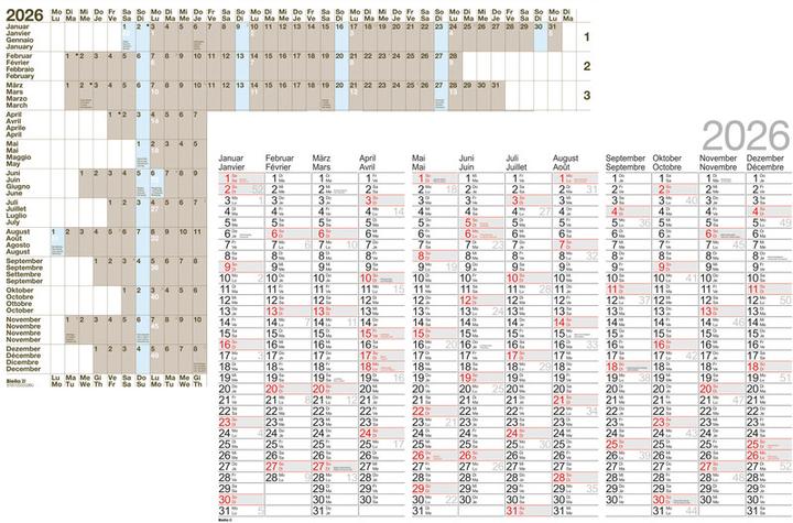Actual product image Biella Planning annuale da parete (98 x 68 cm, No binding, German, French)