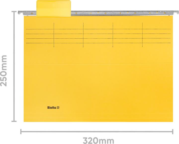 Actual product image Biella Suspension file (A4, 25 x)