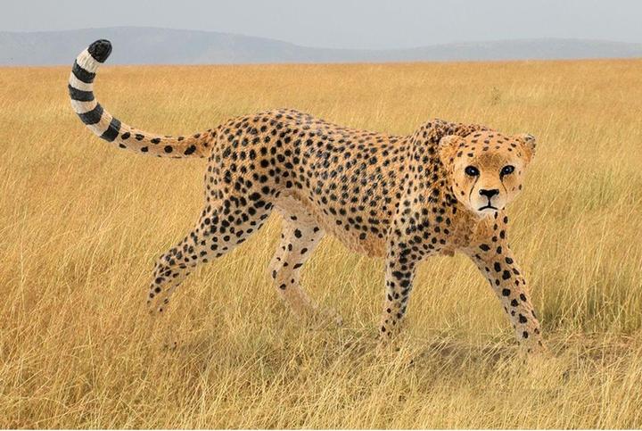 Produktbild Schleich Gepard weibliche