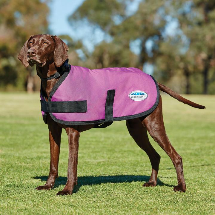 Produktbild Weatherbeeta Comfitec (30, Hundemantel)