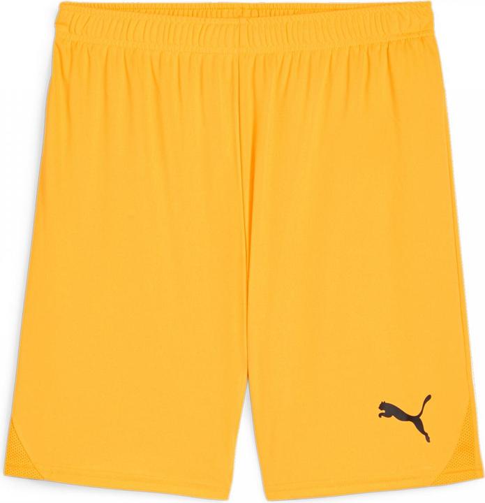 Produktbild Puma teamGOAL Shorts (3XL)