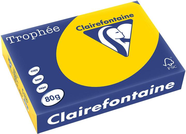 Jaune doré