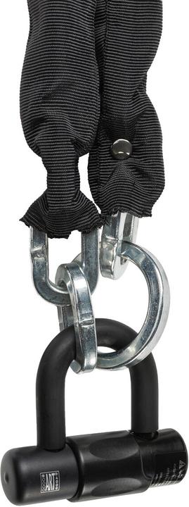 Actual product image AXA Loop 110