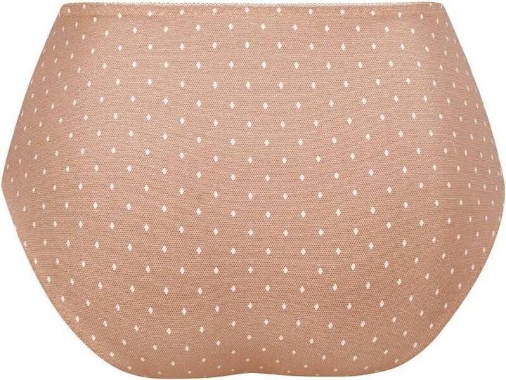Actual product image Anita 's high-waisted briefs belvedere (52)