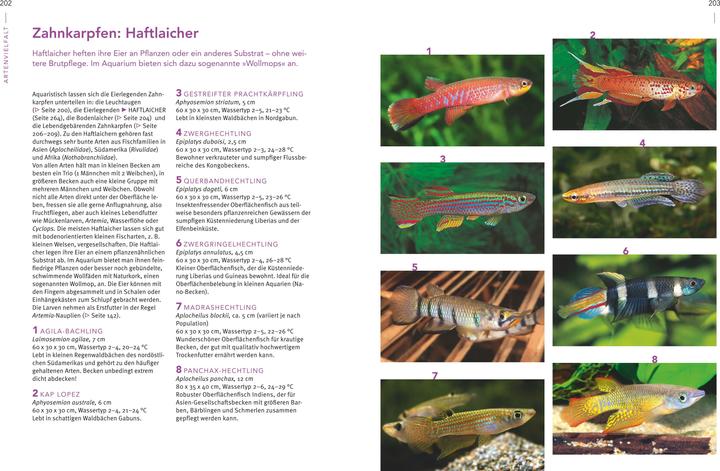 Produktbild Das grosse Praxishandbuch Aquarium (Deutsch, Ulrich Schliewen, 2017)