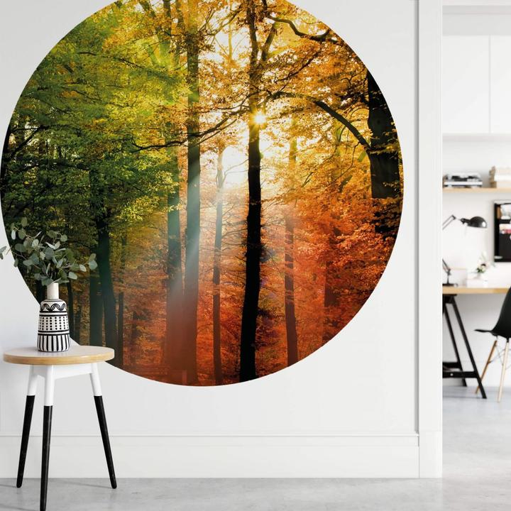 Actual product image Trenddeko Golden autumn forest (Ø 140 cm)