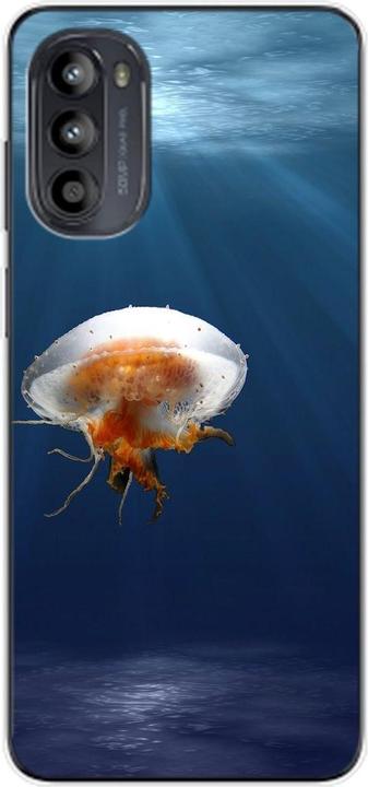 Jellyfish