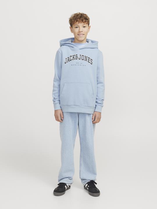 Actual product image Jack & Jones Jjecaleb Varsity Sweat Hood Noos Jnr (164)