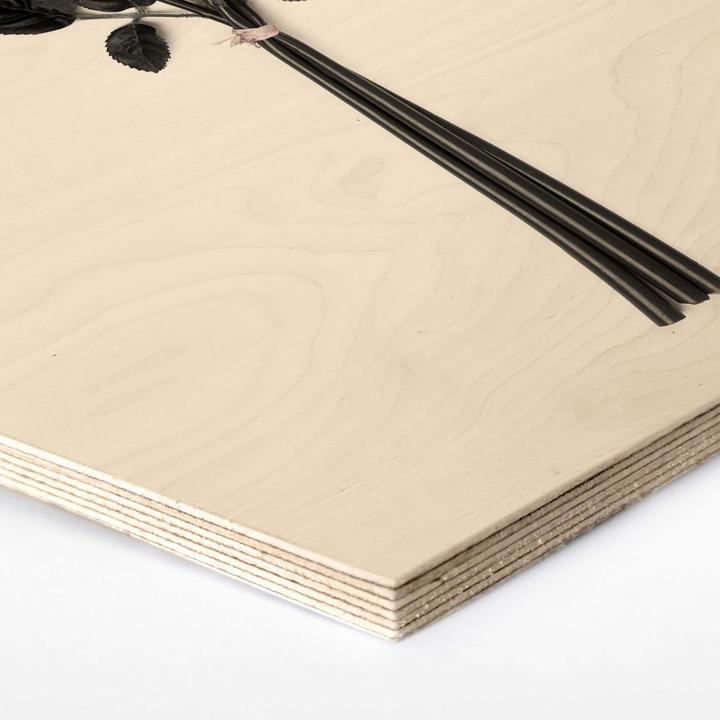 Produktbild Trenddeko Wildrosen (35 x 30 cm)