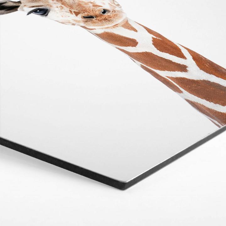 Image du produit Trenddeko Bébé girafe (55 x 47 cm)