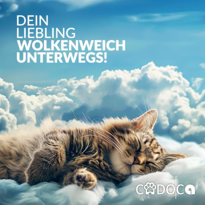 Immagine prodotto Cadoca Zaino per animali domestici (Cane, Gatto, Chiudibile a chiave)