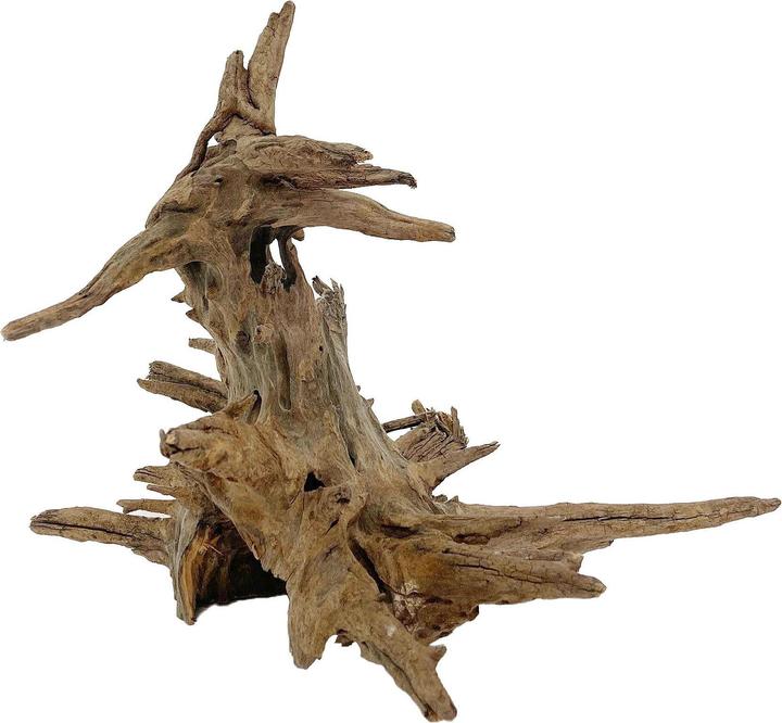 Image du produit Amazonas Nano racine Corbo (Racines, Racines)