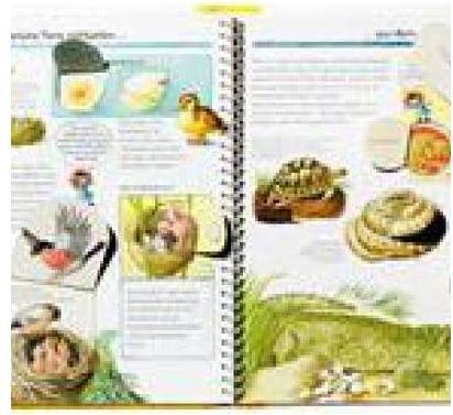 Produktbild Ravensburger Tiere und ihre Kinder (Deutsch, Doris Rübel, 2015)