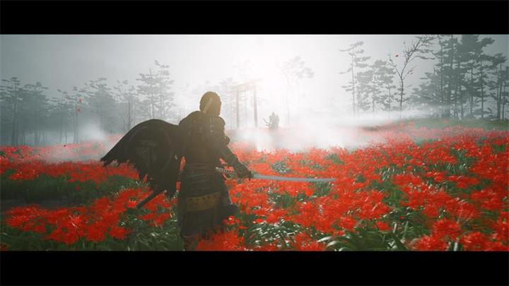Immagine prodotto Sony Ghost of Tsushima - Directors Cut (PS5, DE)