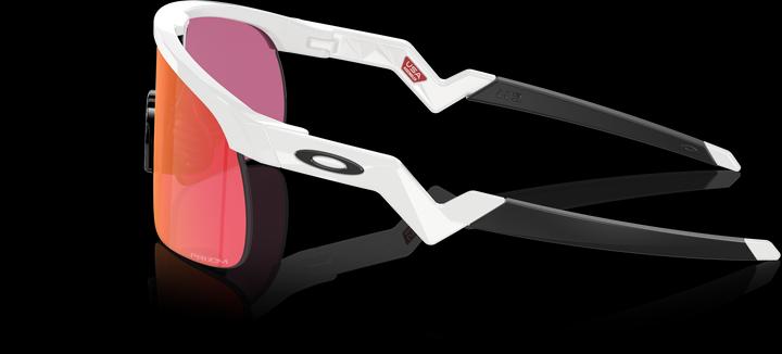 Image du produit Oakley Resistor (Blanc poli, champ de prizm)