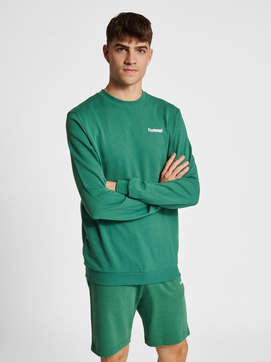 Image du produit hummel hmlLGC GABE SWEATSHIRT (XXL)