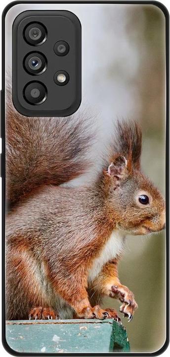 Squirrels