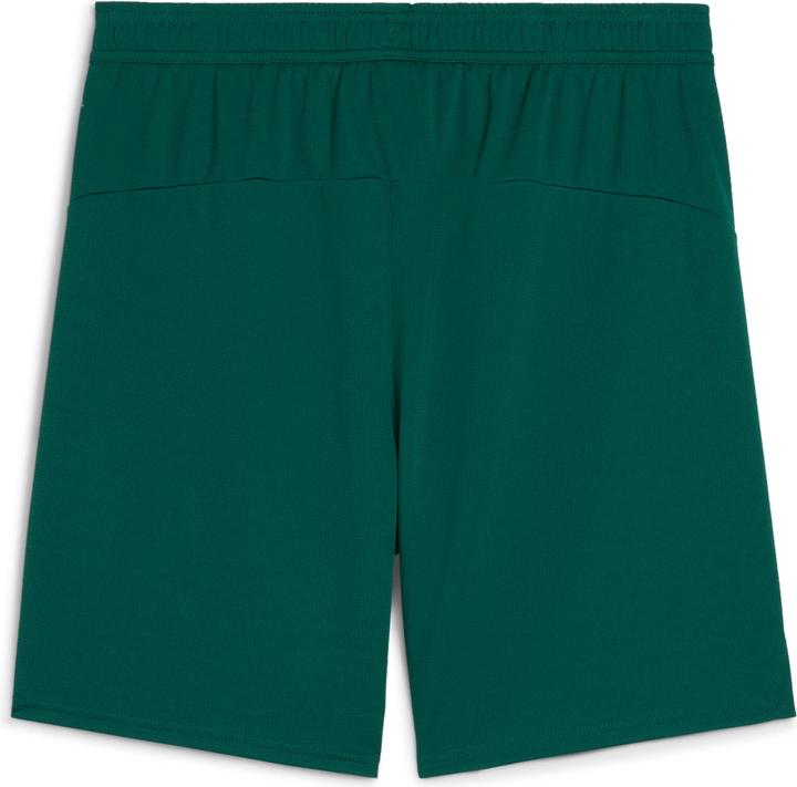 Image du produit Puma FPF Short Replica (L)