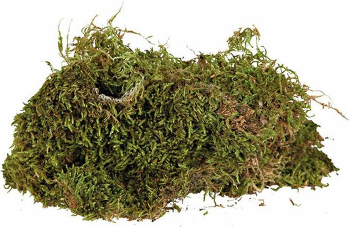 Image du produit Trixie Mousse pour terrarium