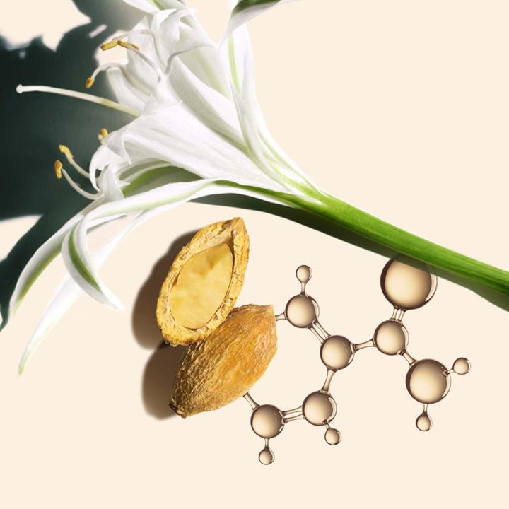 Produktbild Clarins Nutri-Lumière SPF 15 Toutes Peaux (50 ml, Tagescreme, SPF 15)