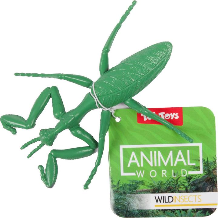 Actual product image Toi-Toys Animal world, big, creepy insect