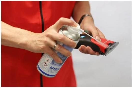 Actual product image Kerbl Aesculap Favorita CLi, clipper with 2 batteries, signal red, model 2022, GT236-SR (Dog, Vault, Cat)