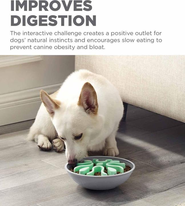 Actual product image Outward Hound Fun Feedeer Wobble Slow Bowl Mint 23X8Cm - (645.5564) (0.59 l)