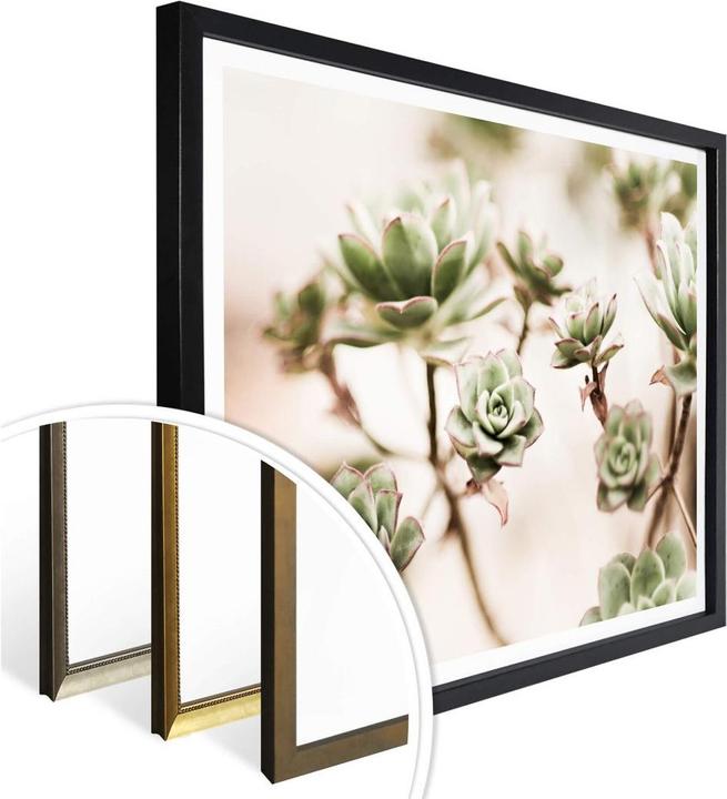 Immagine prodotto Trenddeko Piccole piante grasse (40 x 30 cm)