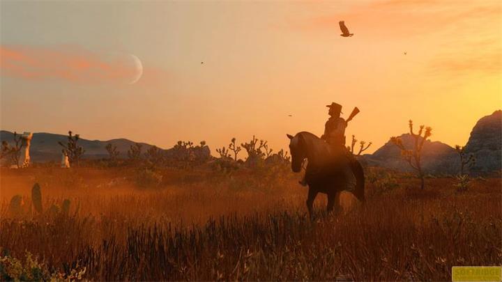 Image du produit Rockstar Red Dead Redemption PS4 AT (PS4, DE)