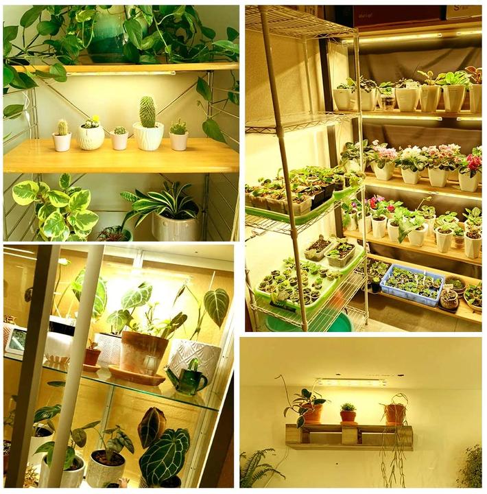 Image du produit CXhome Lumière pour plantes d'intérieur (LED, 240 V)