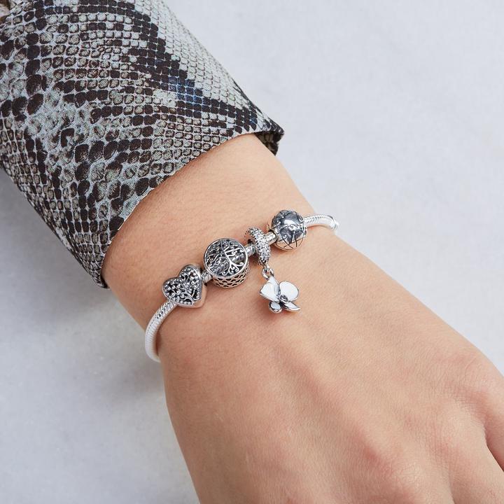 Image du produit Pandora Charm Hommage Familial (Argent)