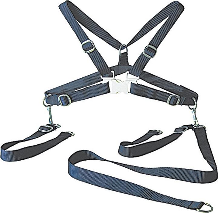 Immagine prodotto Sunnybaby Cintura di sicurezza per bambini