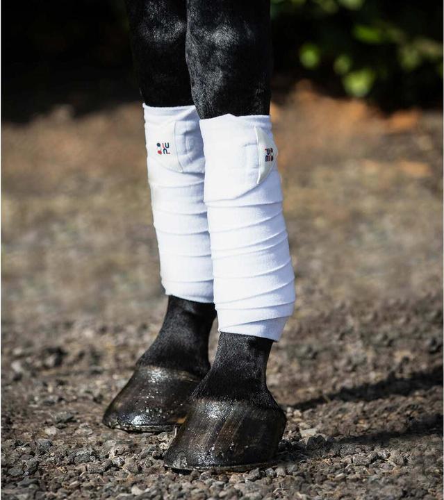 Immagine prodotto Premier Equine set di 4 bande da polo per cavalli