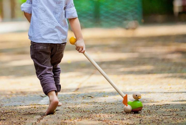 Immagine prodotto Plantoys Anatra per frugare
