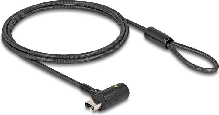 Actual product image Navilock Delock Notebook Fuse Cable for USB Type-A Socket with Key