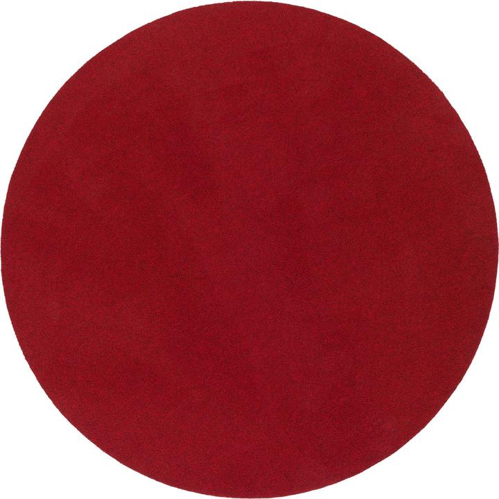 Rot