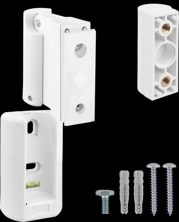 Actual product image Cavus CMBPFW - Bluesound (1 pcs., Wall installation, Rotatable, Tiltable)