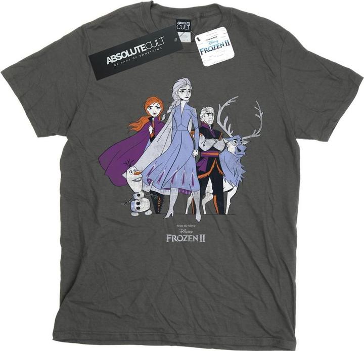 Image du produit Disney - T-shirt FROZEN DISTRESSED GROUP - Femme (M)