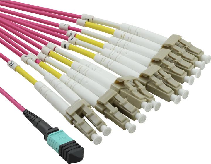 Produktbild Value MPO-Fanout Kabel OM4 MPO/12xLC 2m (CAT6, 2 m)